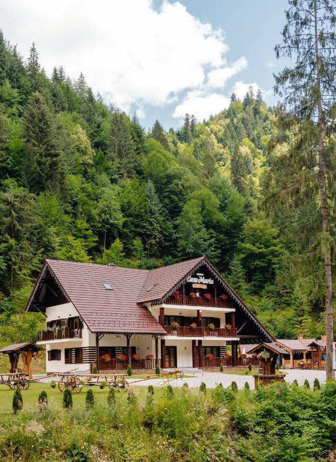 Pensiunea Agroturistica Casa Maria Rodna Esterno foto