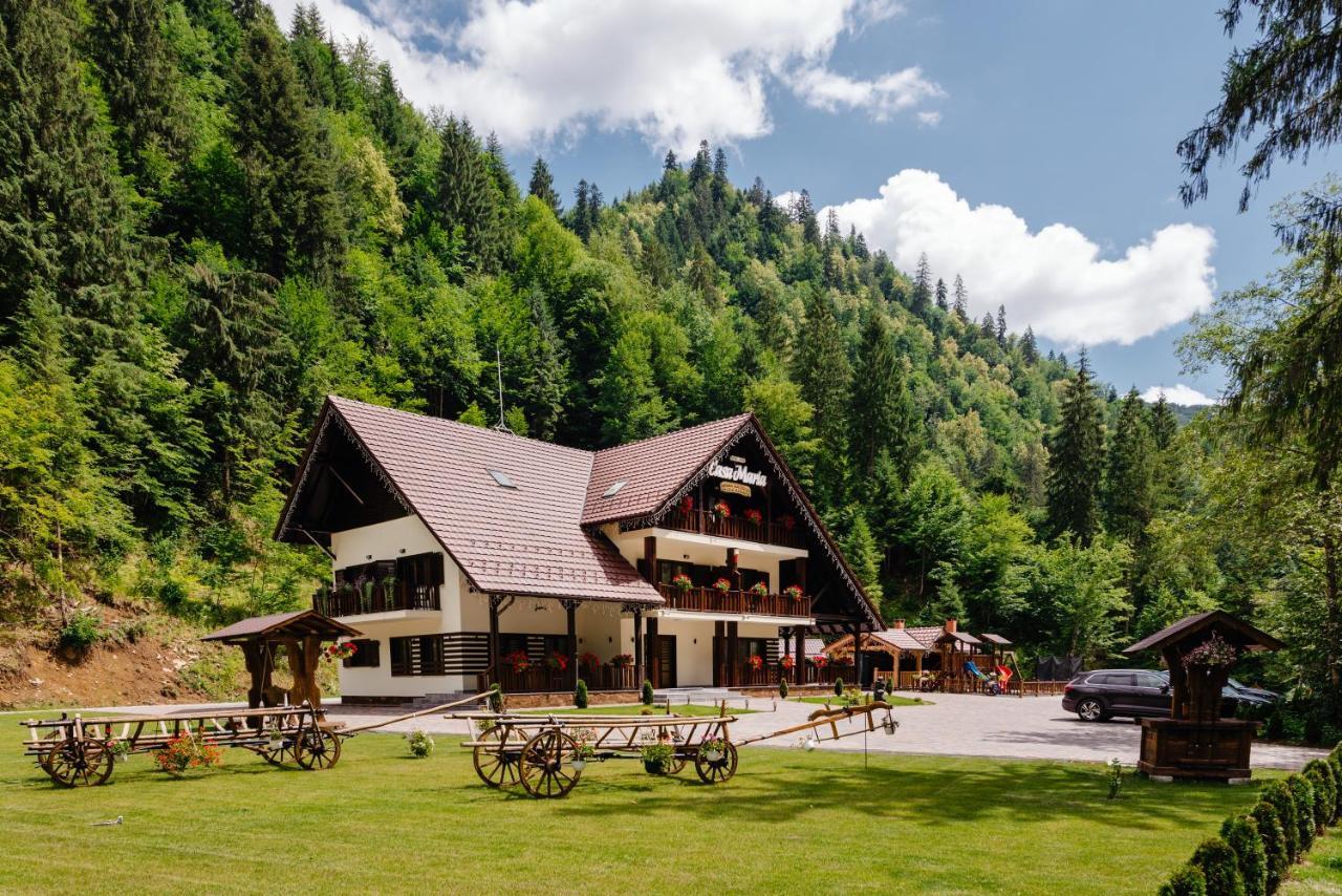 Pensiunea Agroturistica Casa Maria Rodna Esterno foto