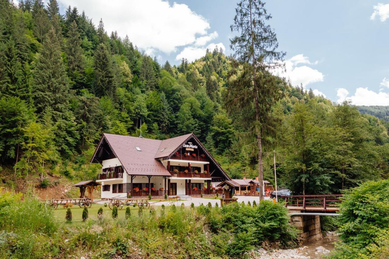 Pensiunea Agroturistica Casa Maria Rodna Esterno foto